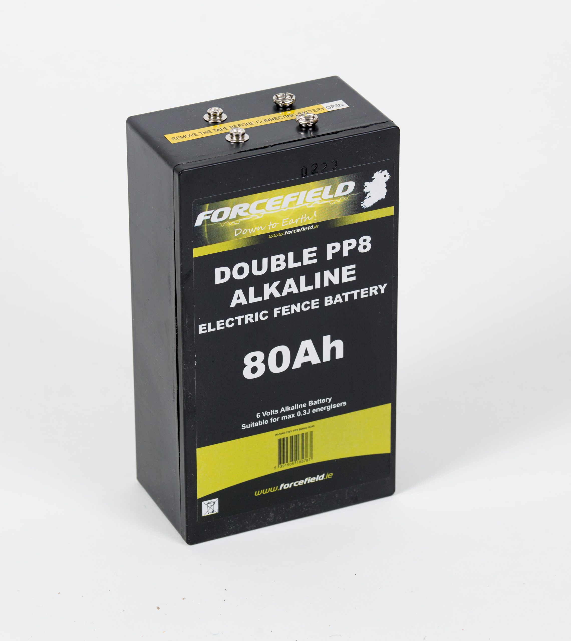 80Ah - 6V PP8 Battery